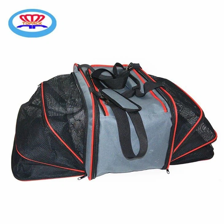 2020060416173618e2d8a8c4a14f6a9239599f264e14af