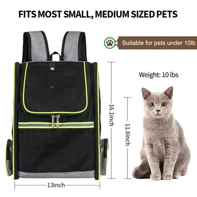 guinea-pig-carrier-bag20188825902